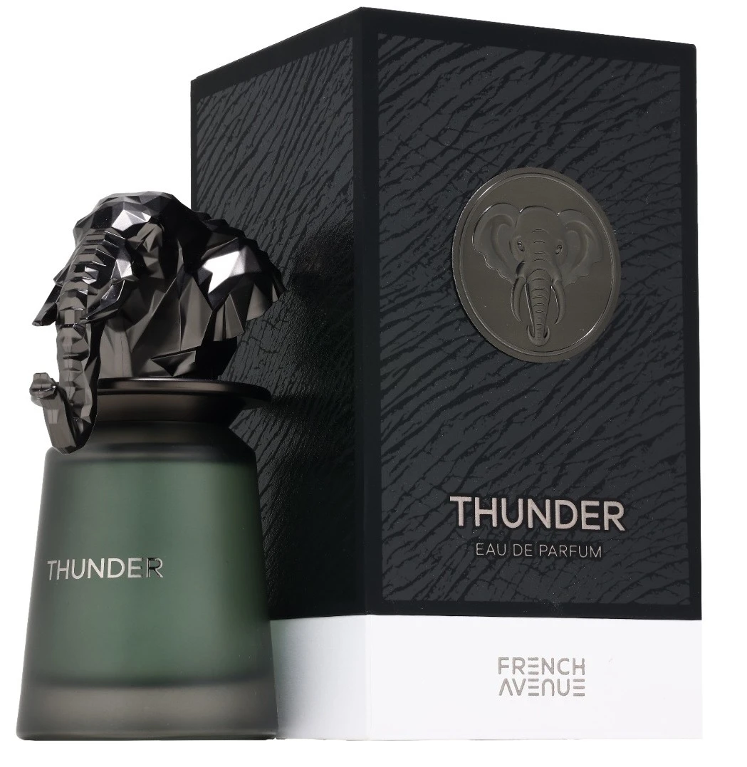 French Avenue Thunder For Men EDP 100ml